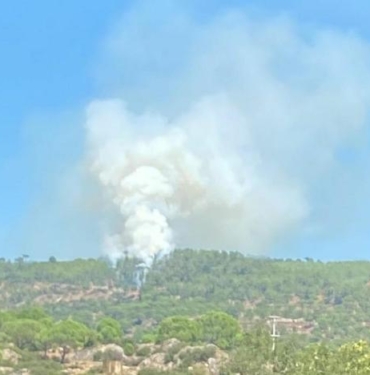 Muğla'da 1 hektar orman yandı