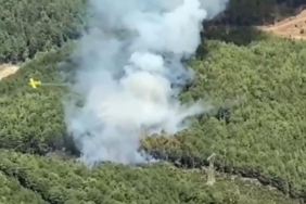 Muğlada orman yangını 2