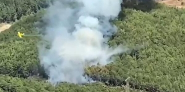 Muğlada orman yangını 2