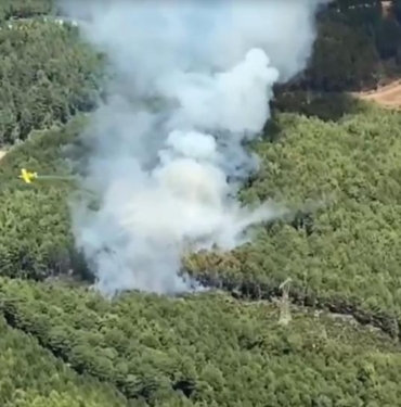 Muğlada orman yangını 2