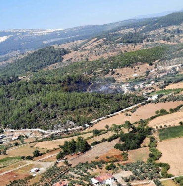 Muğla'da orman yangını (2) 2 Muğlada orman yangını 2