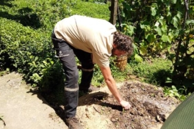 Mutfak atıklarından ürettiği kompost gübre ile yüzde 20 verim sağladı