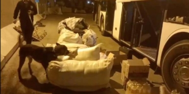Otobüsün ikram dolabına gizlenen eroini ‘Odin’ buldu 1 Otobüsün ikram dolabına gizlenen eroini Odin buldu