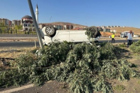 Otomobil ağaca ve direğe çarptı aynı aileden 4 kişi yaralı