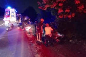 Otomobil şarampole yuvarlanıp ağaca çarptı; baba ve oğlu öldü, 2 kişi yaralandı 34 Otomobil şarampole yuvarlanıp ağaca çarptı baba ve oğlu öldü 2 kişi yaralandı