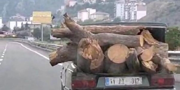 Otomobille tehlikeli odun taşıma