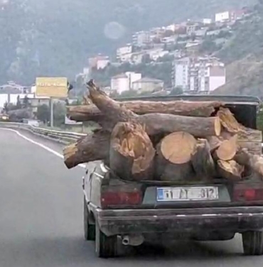 Otomobille tehlikeli odun taşıma
