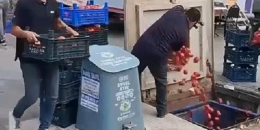 Pendikte çöpe dökülen domateslerle ilgili İstanbul Ticaret İl Müdürlüğünden açıklama