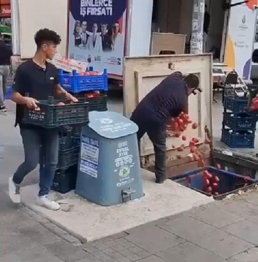 Pendikte çöpe dökülen domateslerle ilgili İstanbul Ticaret İl Müdürlüğünden açıklama