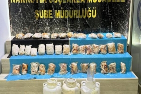 Peynir bidonlarından 9 kilo 317 gram esrar çıktı