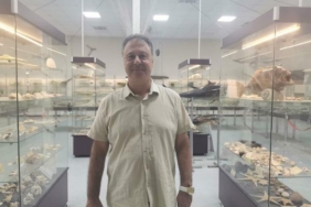 Plajlarda trakonya tehlikesi