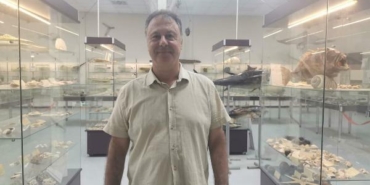 Plajlarda trakonya tehlikesi