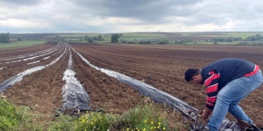 Poşetleme sistemi ile kuraklığı yendi 10 ton karpuz elde etti