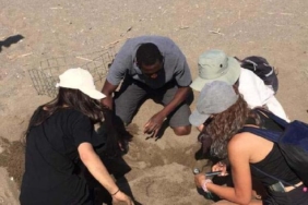 Prof Dr Kaska Carettaları koruma uygulamasıyla dünyaya örnek oluyoruz