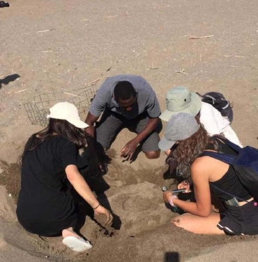 Prof. Dr. Kaska: Carettaları koruma uygulamasıyla dünyaya örnek oluyoruz 10 Prof Dr Kaska Carettaları koruma uygulamasıyla dünyaya örnek oluyoruz