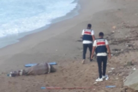 Sabah teknesiyle balığa çıktı, akşam denizde cesedi bulundu 19 Sabah teknesiyle balığa çıktı akşam denizde cesedi bulundu