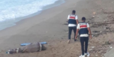 Sabah teknesiyle balığa çıktı akşam denizde cesedi bulundu
