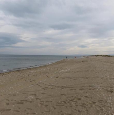 Sakaryanın 3 ilçesinde denize girmek yasaklandı