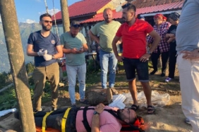 Salıncakla ineğe çarpan turizmci yaralandı