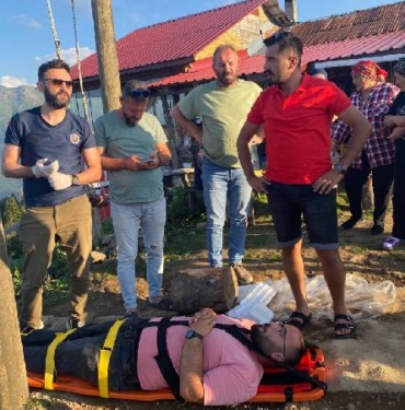 Salıncakla ineğe çarpan turizmci yaralandı