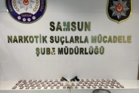 Samsun'da, kedi kafesine zulalanmış 2 bin 72 adet sentetik ecza ele geçirildi 27 Samsunda kedi kafesine zulalanmış 2 bin 72 adet sentetik ecza ele geçirildi