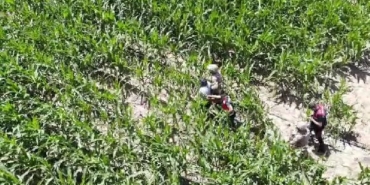 Şanlıurfa’da, firari hükümlüler mısır tarlasında yakalandı 8 Şanlıurfada firari hükümlüler mısır tarlasında yakalandı