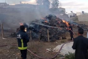 Sarayda 8 bin bağ ot yandı