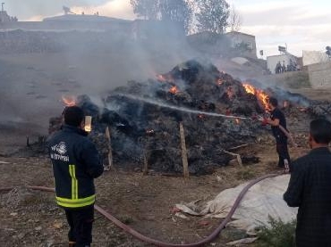 Sarayda 8 bin bağ ot yandı