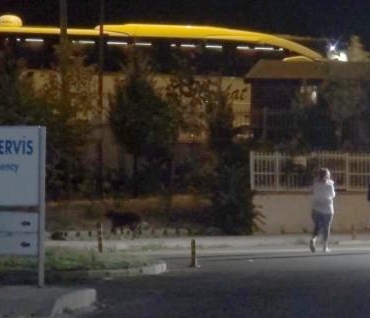 Şehitlik ziyareti sonrası öğrenciler yemekten zehirlendi