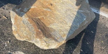 Seyir halindeyken üzerine kaya düşen kamyonet şarampole yuvarlandı 1 ölü 3 yaralı