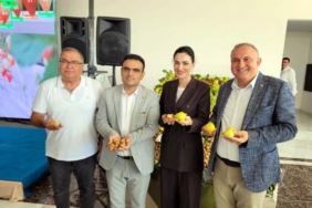 Sezonun ilk kuru inciri, kilosu 330 liradan alındı 38 Sezonun ilk kuru inciri kilosu 330 liradan alındı