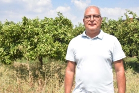 Sıcak hava dalgası yaz meyvelerini de vurdu ürünlerde güneş yanığı oluştu