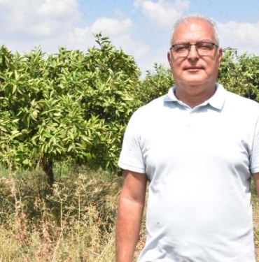 Sıcak hava dalgası yaz meyvelerini de vurdu ürünlerde güneş yanığı oluştu