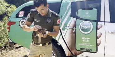 Sıcakta bitkin düşen kerkenez kuşuna polisten müdahale