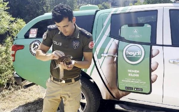 Sıcakta bitkin düşen kerkenez kuşuna polisten müdahale