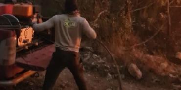 Siirt ve Bingölde orman yangını