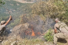 Siirtte orman yangını 52 saatte söndürüldü