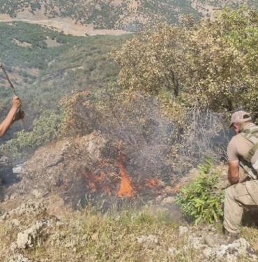 Siirtte orman yangını 52 saatte söndürüldü