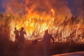 Siirtte sazlıkta çıkan yangın tarım arazilerine sıçramadan söndürüldü