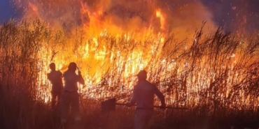 Siirt'te sazlıkta çıkan yangın, tarım arazilerine sıçramadan söndürüldü 1 Siirtte sazlıkta çıkan yangın tarım arazilerine sıçramadan söndürüldü