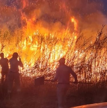 Siirtte sazlıkta çıkan yangın tarım arazilerine sıçramadan söndürüldü