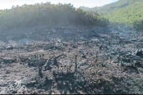 Siirtteki orman yangını 15 saat sonra kontrol altına alındı