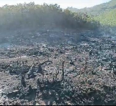 Siirtteki orman yangını 15 saat sonra kontrol altına alındı