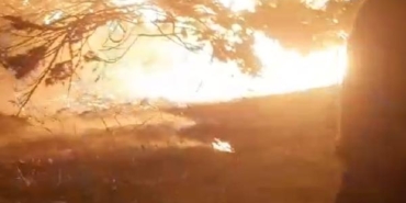 Silivri'de alev alev yanan asırlık çam ağacı paniğe neden oldu 30 Silivride alev alev yanan asırlık çam ağacı paniğe neden oldu