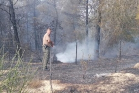 Silivride orman yangını