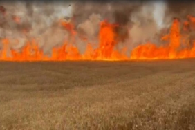 Sivasta yanan tarlalarda zarar 10 milyon lira