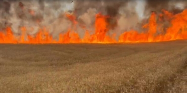 Sivas'ta yanan tarlalarda zarar 10 milyon lira 19 Sivasta yanan tarlalarda zarar 10 milyon lira