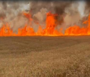 Sivasta yanan tarlalarda zarar 10 milyon lira