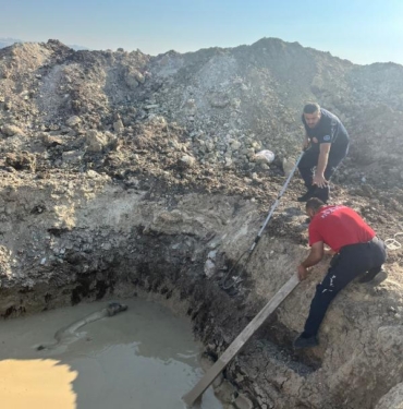 Sondaj kuyusuna düşen köpeği itfaiye ekipleri çıkarttı