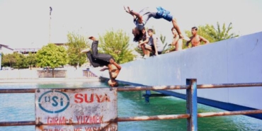 Tehlikeye aldırış etmeden bu kez de ağaçlara çıkıp sulama kanalına atladılar